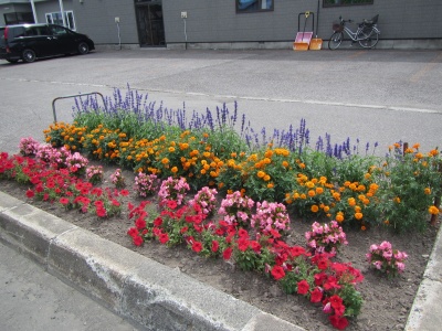 平成29年度 花壇コンクール 街路花壇の部