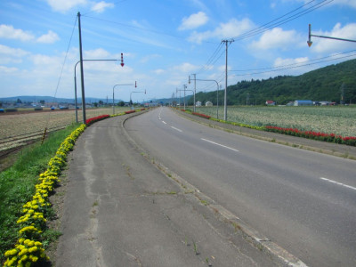 花壇コンクール　街路花壇の部