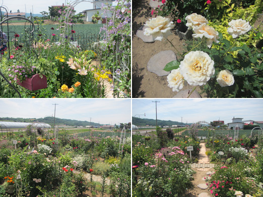 ガーデニング見学会