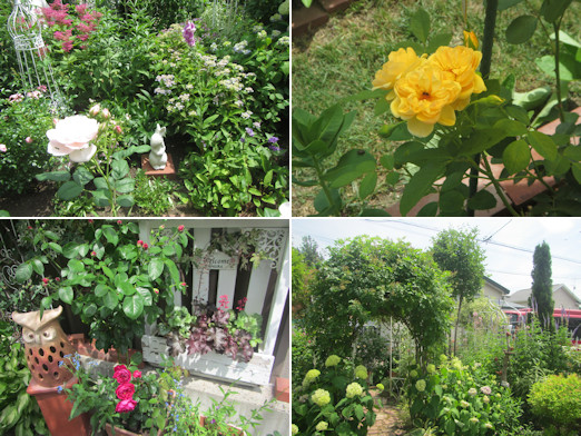 ガーデニング見学会